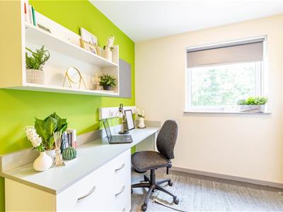 Picture 5